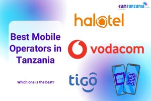 tanzania mobile operators